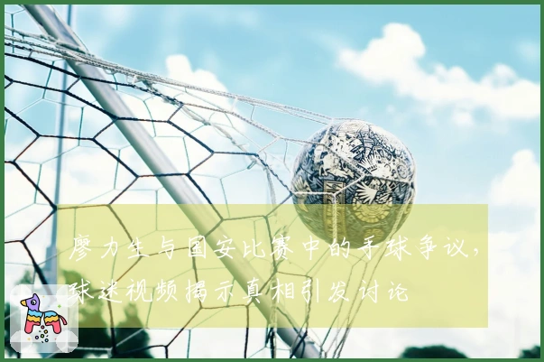 廖力生与国安比赛中的手球争议，球迷视频揭示真相引发讨论