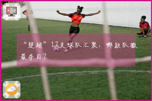 “楚超”17支球队汇聚，哪款队徽最夺目？