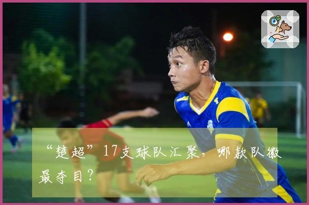 “楚超”17支球队汇聚，哪款队徽最夺目？